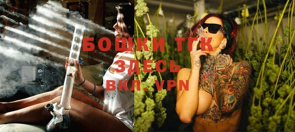 молекула духа Медногорск