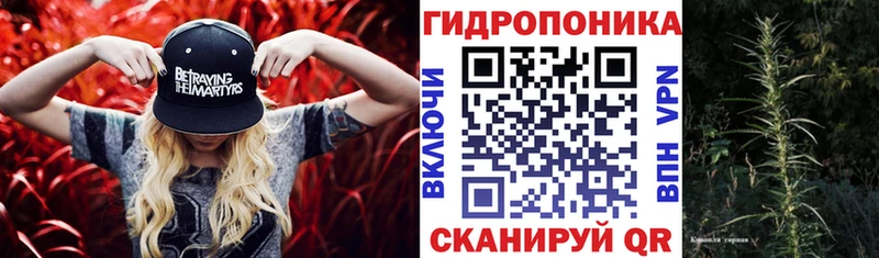 закладка  Чёрмоз  Шишки марихуана марихуана 